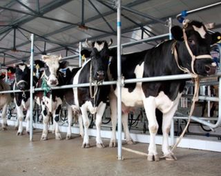 Agricultural Electricians Dumfries and Galloway Active Electrical